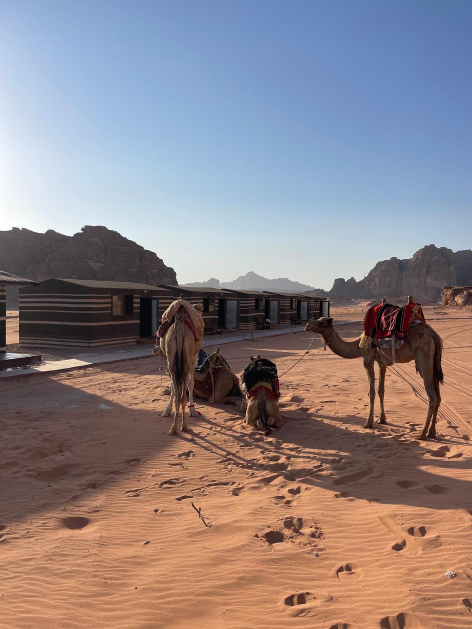 Wadi Rum Star Camp Exteriér fotografie